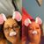 Laura Diaz's profile image