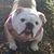Gia Smith Rueda's profile image