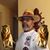 Ronald Tindal's profile image