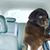 Ellen Rubinetti Gatto's profile image