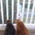 Eva Nelson Wagner's profile image