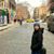 Madie Sipes's profile image
