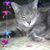 Betty Arevalo's profile image