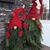 Dawn Blubaugh's profile image