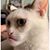 Fedi Hawkins's profile image