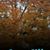 Jill Ruhl's profile image