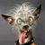 Cathy O'Neil's profile image