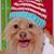 Todd Erwin's profile image