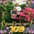 Kimberly L Marich's profile image