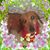 Nancy Speakes Castrina's profile image