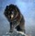 Jonathan TG Barone's profile image