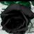 Angie Serna's profile image