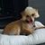 Rose Zayas's profile image