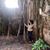 NiShe Nur Muser's profile image