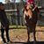 Anna Maria Angelo's profile image