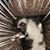 Ken Neoh's profile image