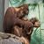 Christine White Olle's profile image