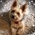 Michelle McKenna's profile image