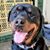 Michelle Filippi-Robb's profile image
