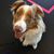 Shannon Louise's profile image