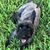 Carolyn Bailey's profile image
