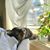 Tina Preece's profile image