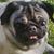 Tracy Mirabile's profile image