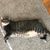 Kimberly Belle Tidd's profile image