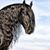 Debbie Lutz's profile image