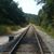 Susan Minnich's profile image