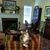 Connie Carroll's profile image