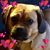 Donna Gerwitz's profile image