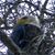 Sue Weston Castellion's profile image