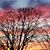 Kimberly Hineman's profile image