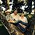 Becky Matheis McDonal's profile image