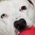 Cat Leger's profile image