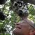 Bob Giles's profile image
