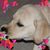 Tracey Lenz's profile image