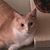 Kelly Bradshaw's profile image