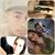 Lupitha Elii Lira's profile image