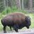 John Kerns's profile image