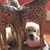 Tammy Rae Hurlock's profile image