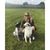 Rachael Getts's profile image