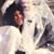 Sandy Bennett's profile image