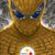 Todd Dunn's profile image