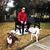 Dylan Moseley's profile image
