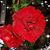 Margie Love's profile image