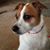 Lori Pifer's profile image