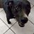 Cherie Hennebry Shannon's profile image