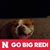 Raymond White's profile image